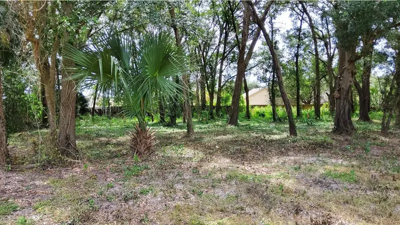 25050 Algonquin Ave, FL