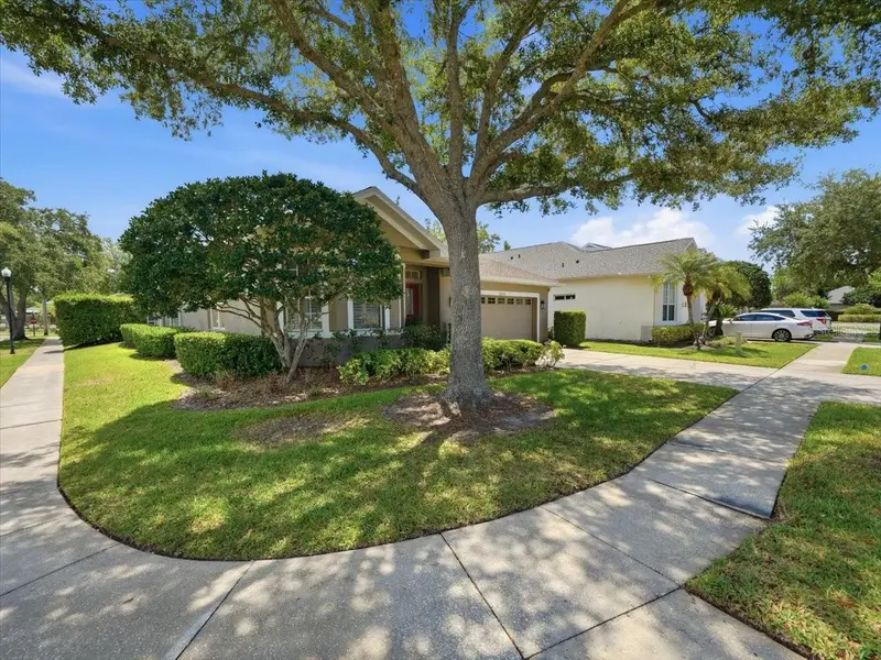 19409 Golden Slipper Pl, FL