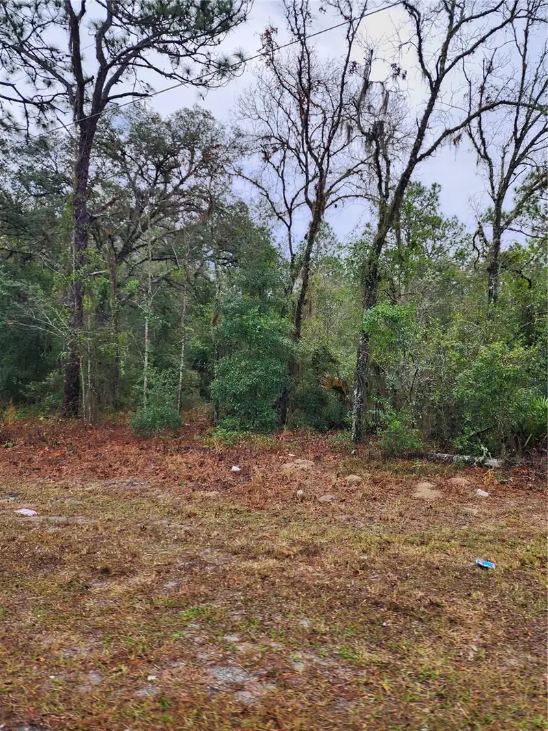 7360 W Dunnellon Rd, FL