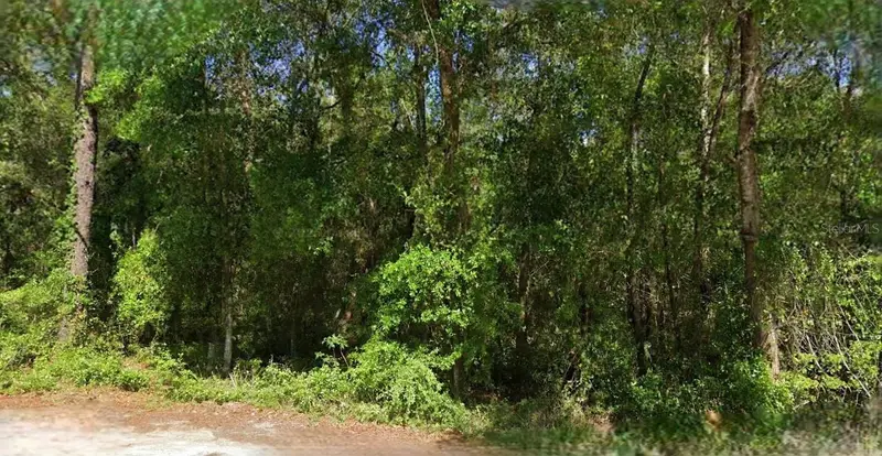 Ne 6th Lane Rd, FL