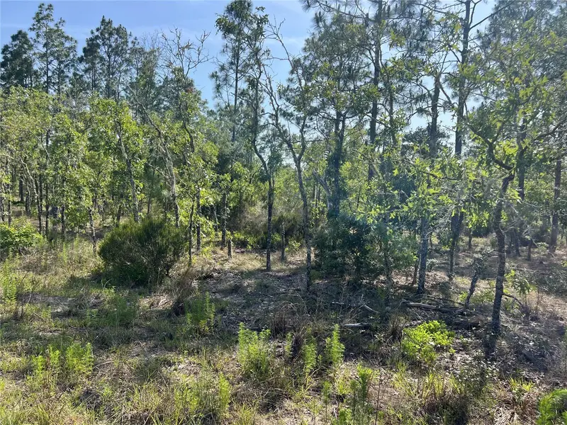 Ne 151st Ave, FL
