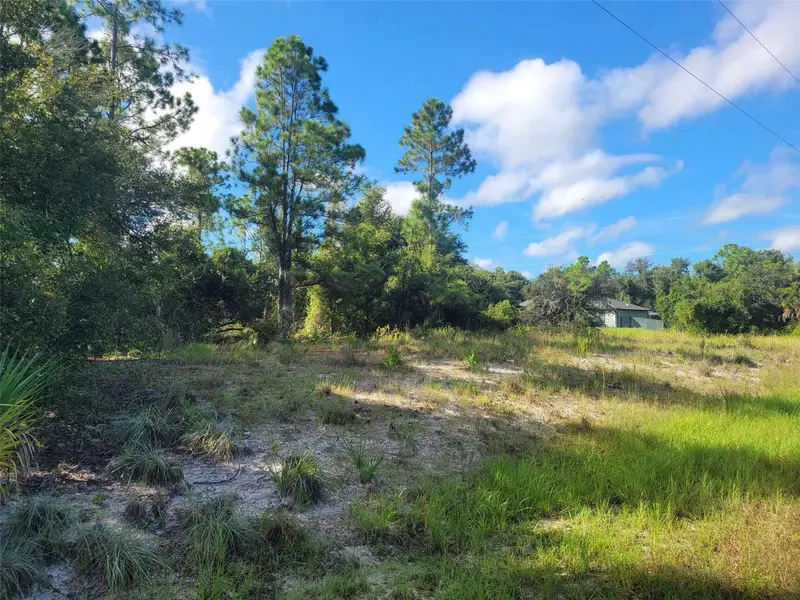 Scenic Rd, FL