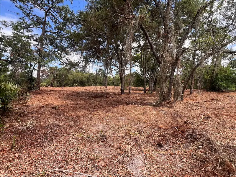 Deer Rd, FL