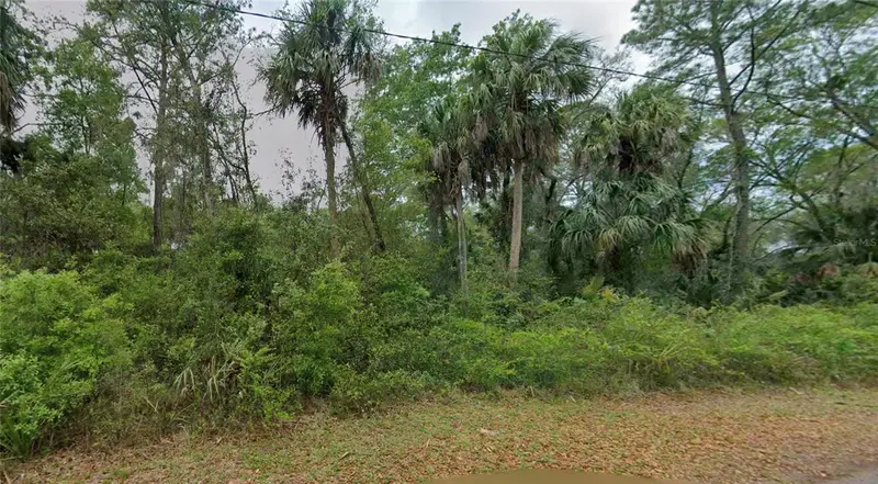 11148 W Cedar Lake Dr, FL