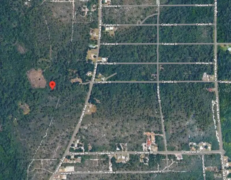 734 Dolphin Ave, FL