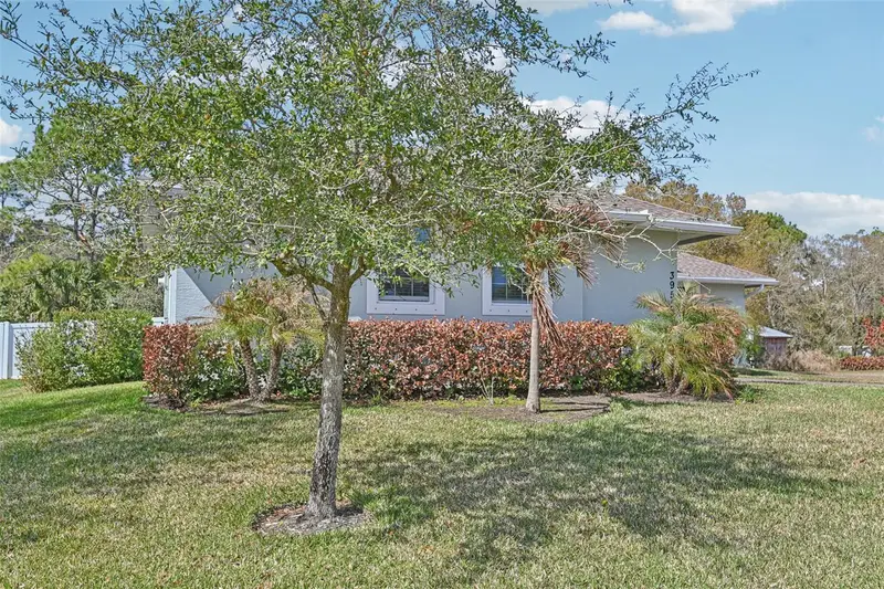 3955 Oak Hollow Ave, FL