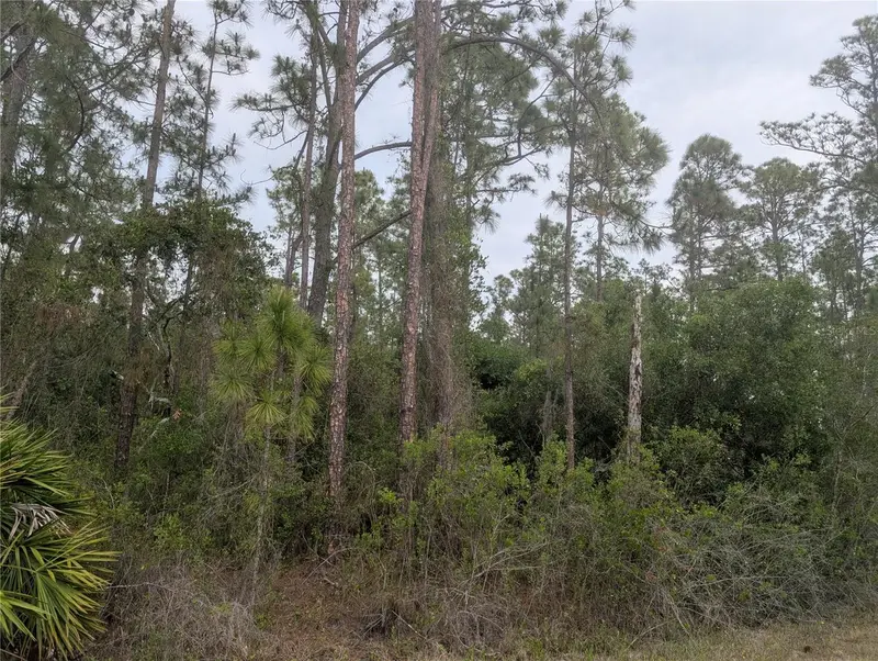 320 Alba Dr, FL