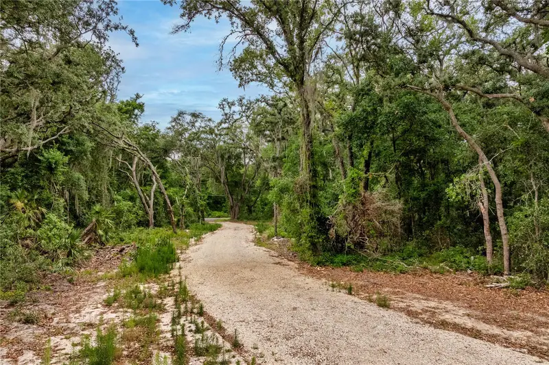 Bay St, FL