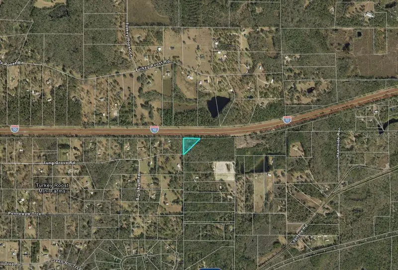 13-19-20-218-0000 Tung Grove Rd, FL