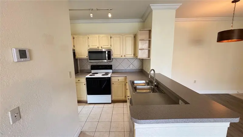 1325 Lake Shadow Cir #12104, FL