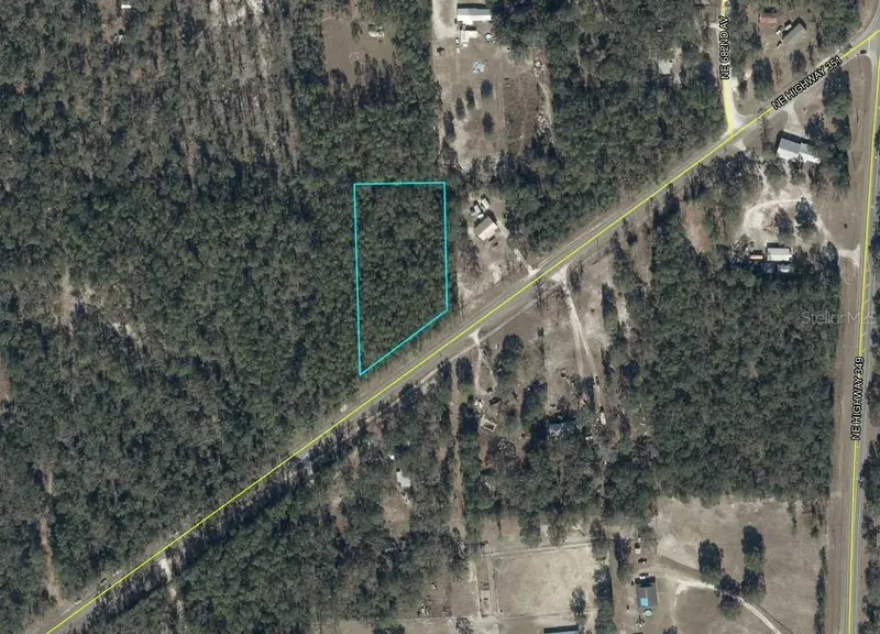 Ne Hwy 351, FL