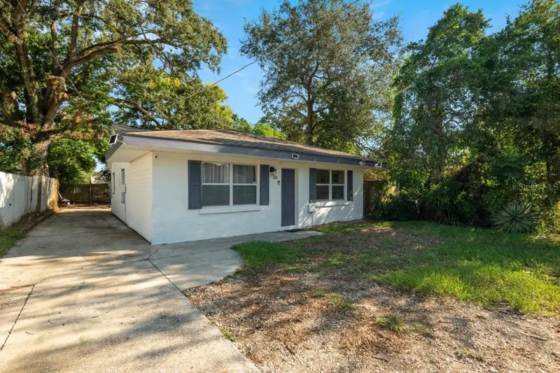 341 Avenue L Ne, FL