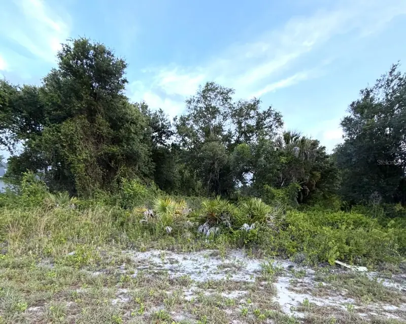 Mangrove Avenue, FL