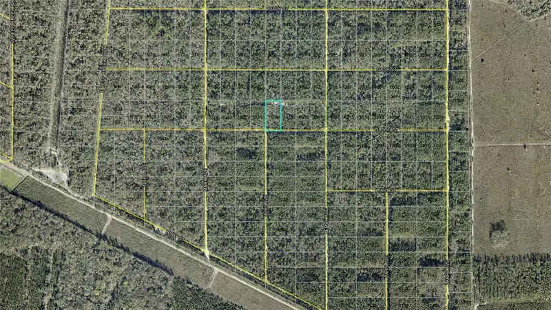 21-10-28-2775-00040-1020 Olson St, FL
