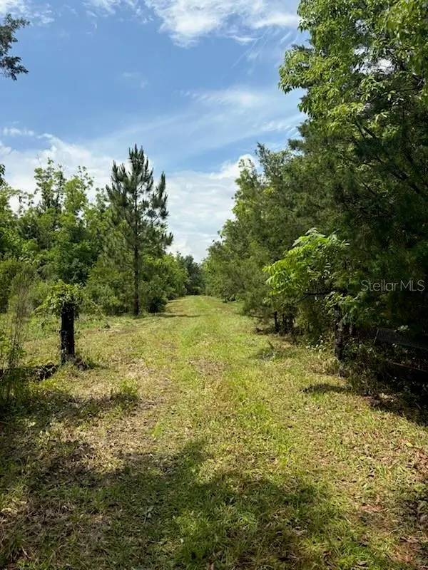 459 County Road 2006 E, FL