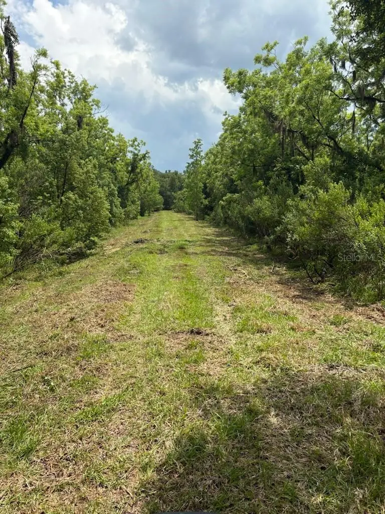 459 County Road 2006 E, FL