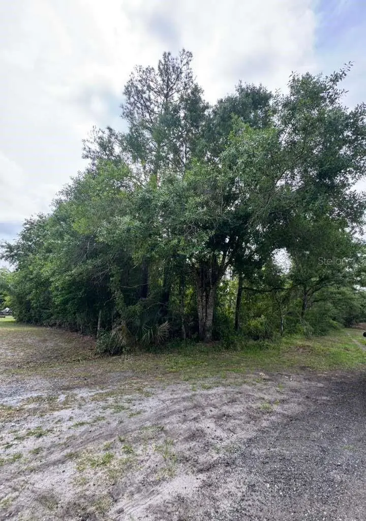 1249 Sable Palm Dr, FL