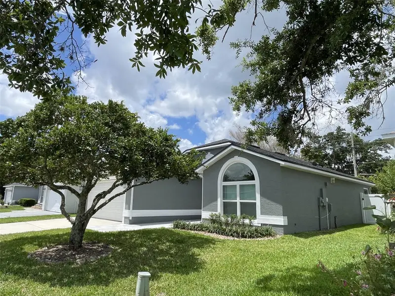 2869 Falling Tree Cir, FL