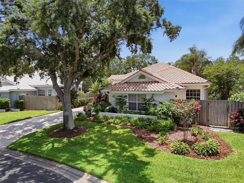 812 Live Oak Ter Ne, FL