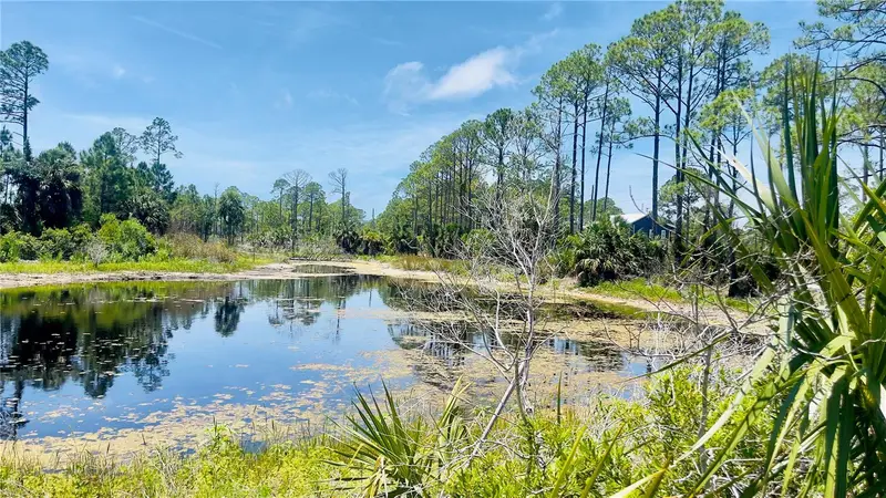 Tbd Sw 101st Ln, FL