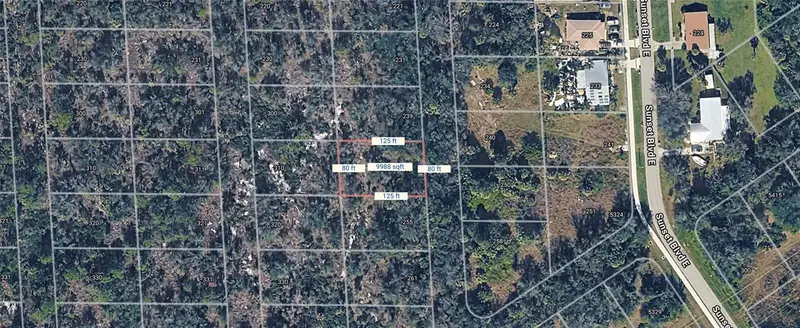 245 Sawfish Ln, FL
