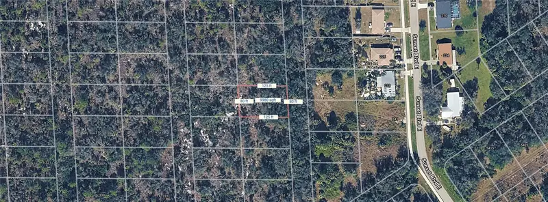 239 Sawfish Ln, FL