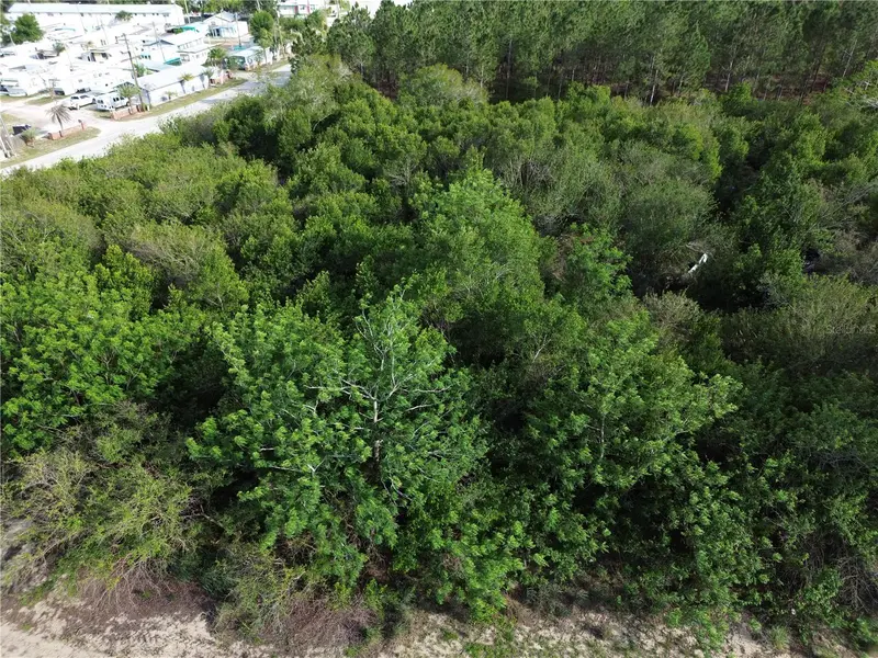 3055 Sr-17 N, FL