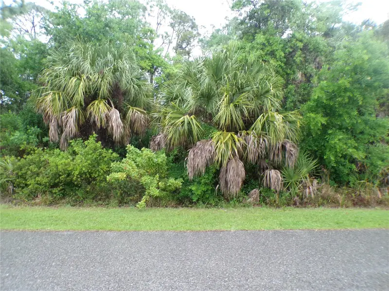 Shalimar Ter, FL