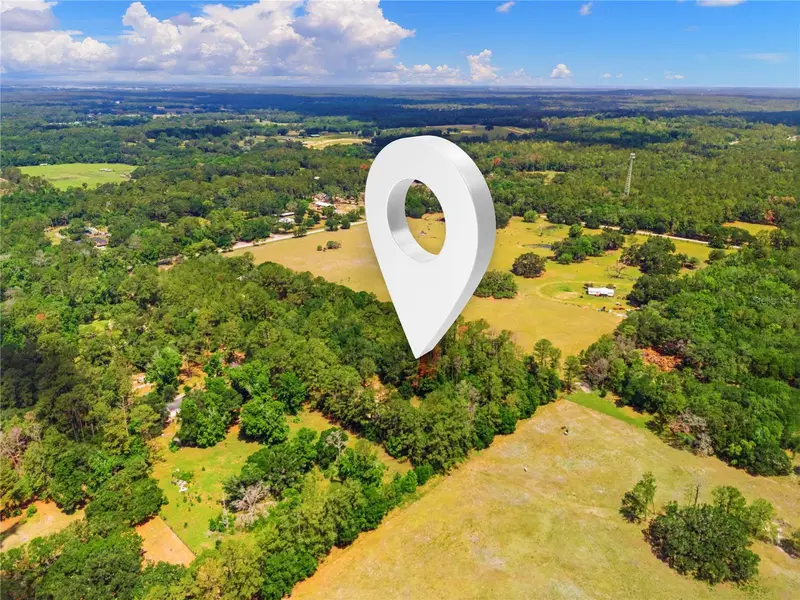 1074 Culbreath Rd, FL