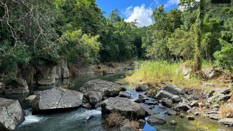 Las Lomas, PR