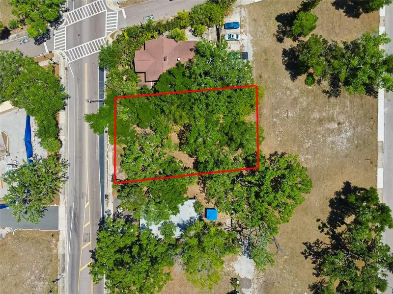 809 N Fort Harrison Ave, FL