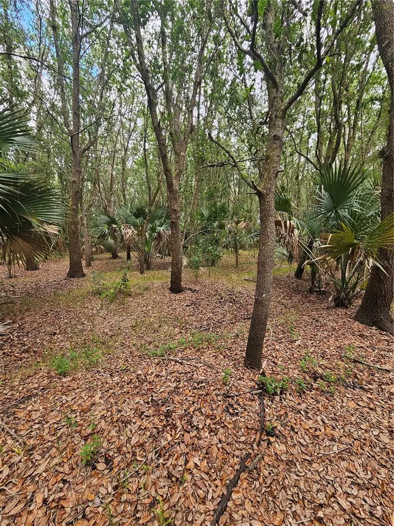 601 Howard Ave, FL