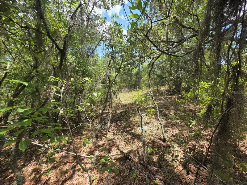 Lot 18 Sw Wood Rd, FL