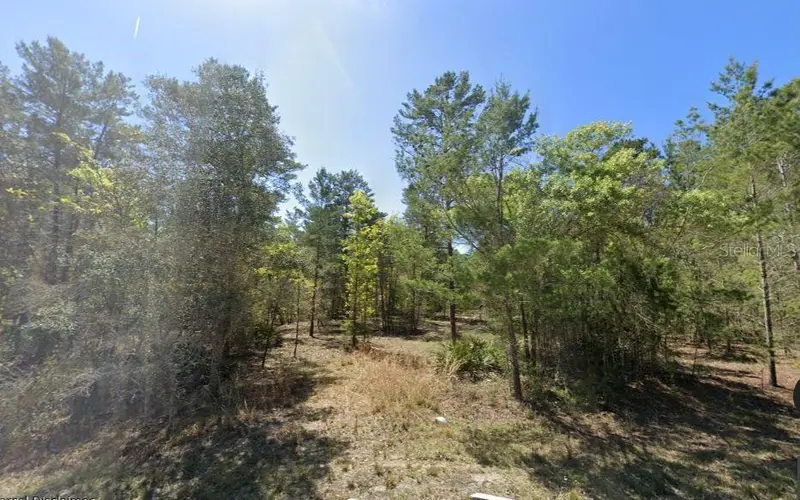 835 Deerwood Ave, FL