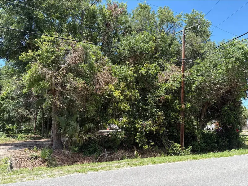 168 Canal Ave, FL