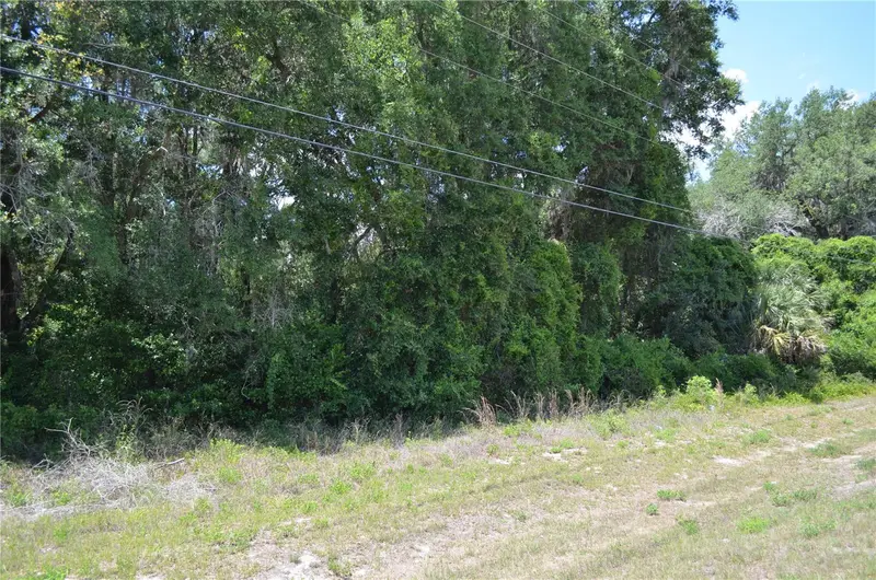 Tbd N Us Hwy 301, FL