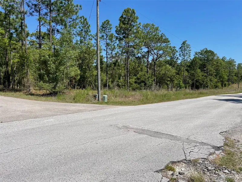Lot 1 Nw Mandrake Dr, FL