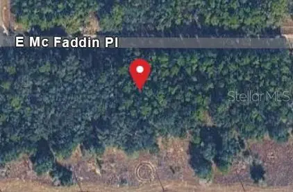 389 E Mc Faddin Pl E, FL