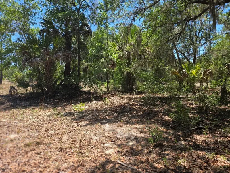 11837 N Captiva Ter, FL