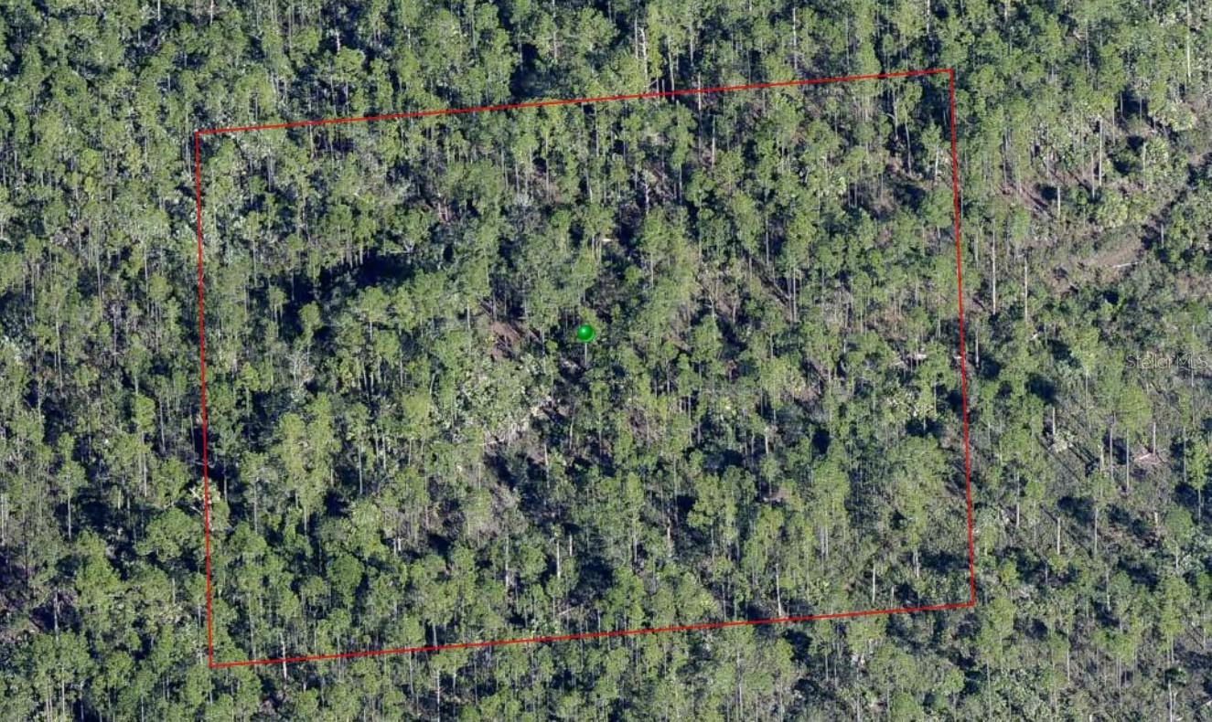 Lake Harney Rd, FL