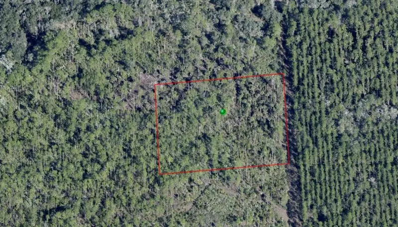 Lake Harney Rd, FL