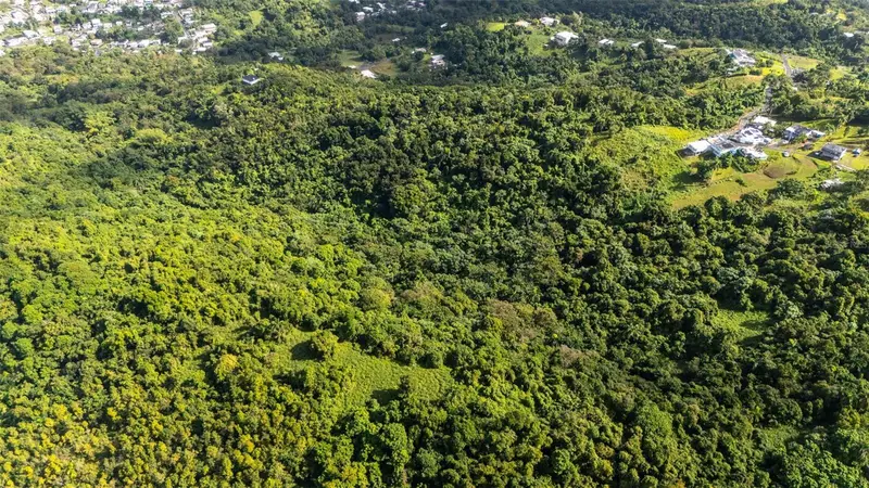 966 Zarzal Rd, PR