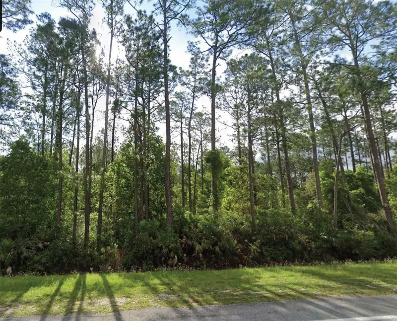 1501 S State Road 19, FL