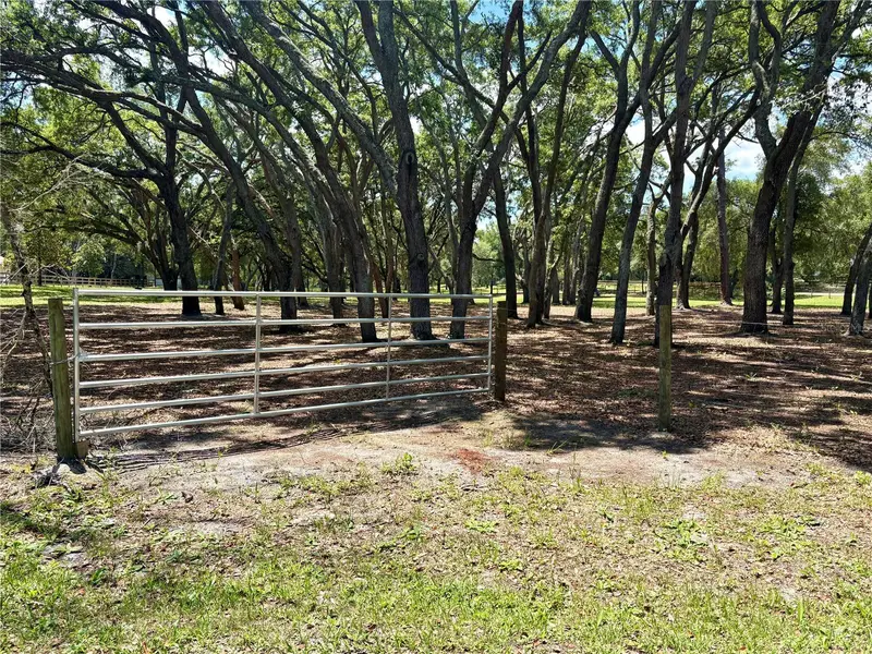 390 Foothill Farms Rd, FL