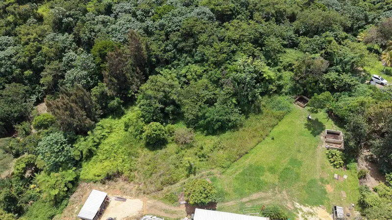 Camino Vitoriano, PR