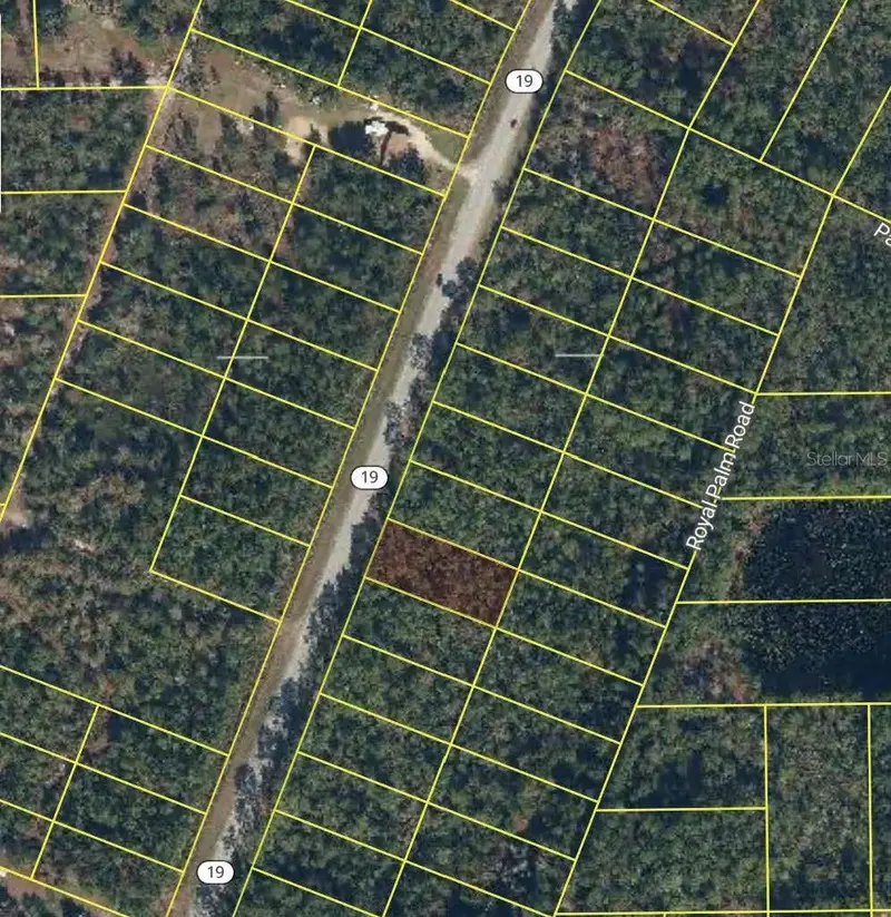 1677 S State Road 19, FL