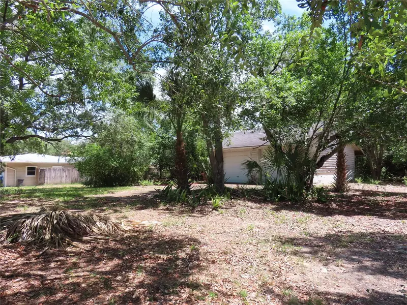 Mayo, FL