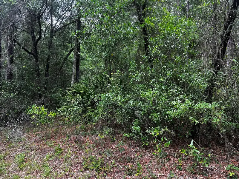 Tbd Sw 186th Ct., FL