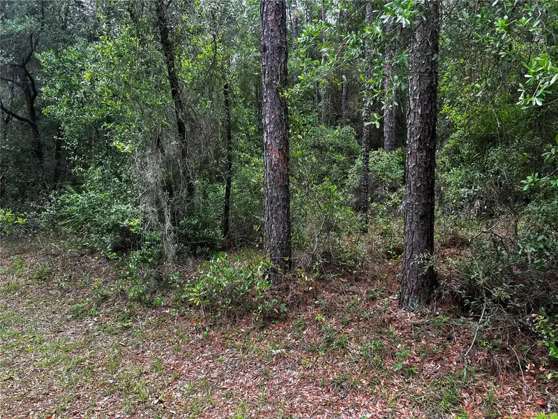Tbd Sw 186th Ct., FL