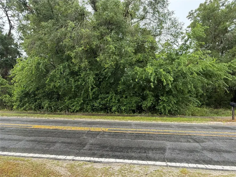 34184 Ridge Manor Blvd, FL